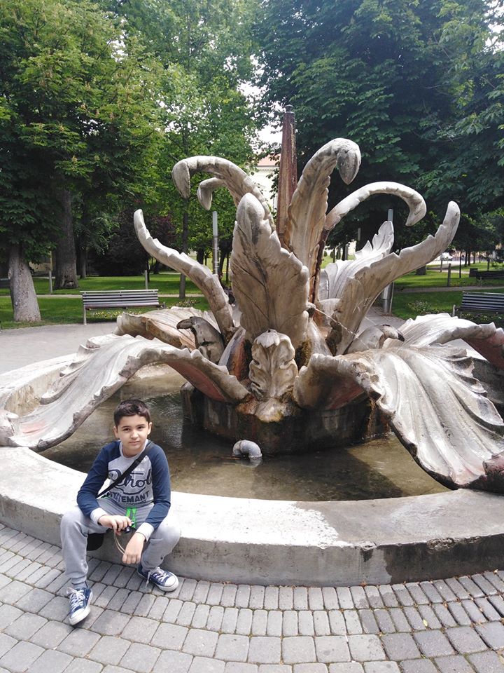 Skulptura Kameni cvet u Gradskom parku