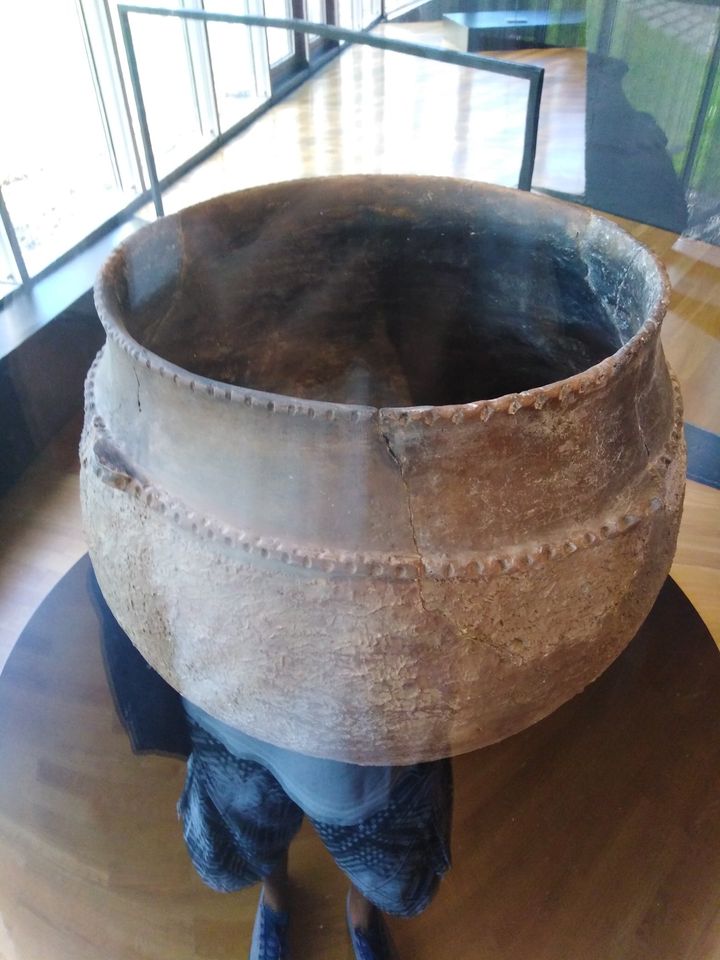 Muzej vučedolske kulture