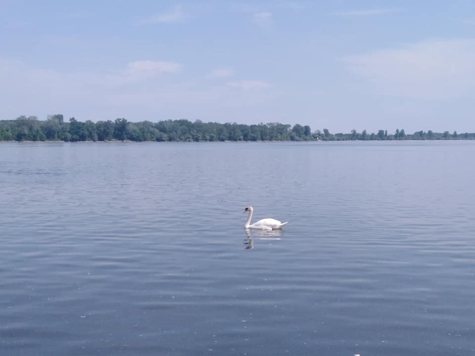 Uživanje na Dunavu