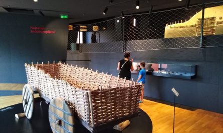 Muzej vučedolske kulture