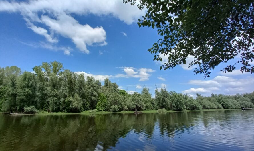 Mali Amazon u srcu Vojvodine – Specijalni rezervat prirode Koviljsko – petrovaradinski rit